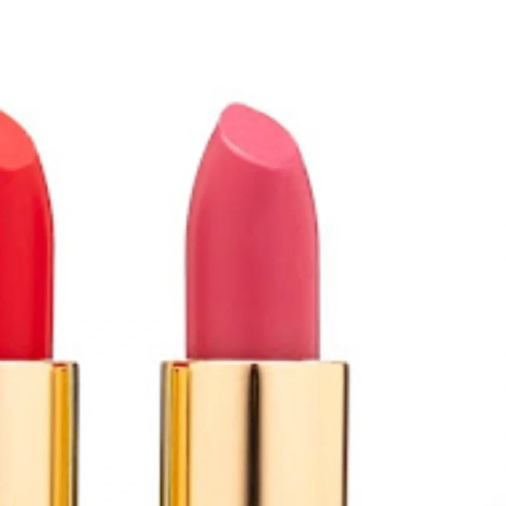 RUPAL X MALLY (MAUVE - Werkroom) Lipstick for Your Life FULL SIZE